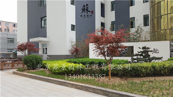 竣工现场图05