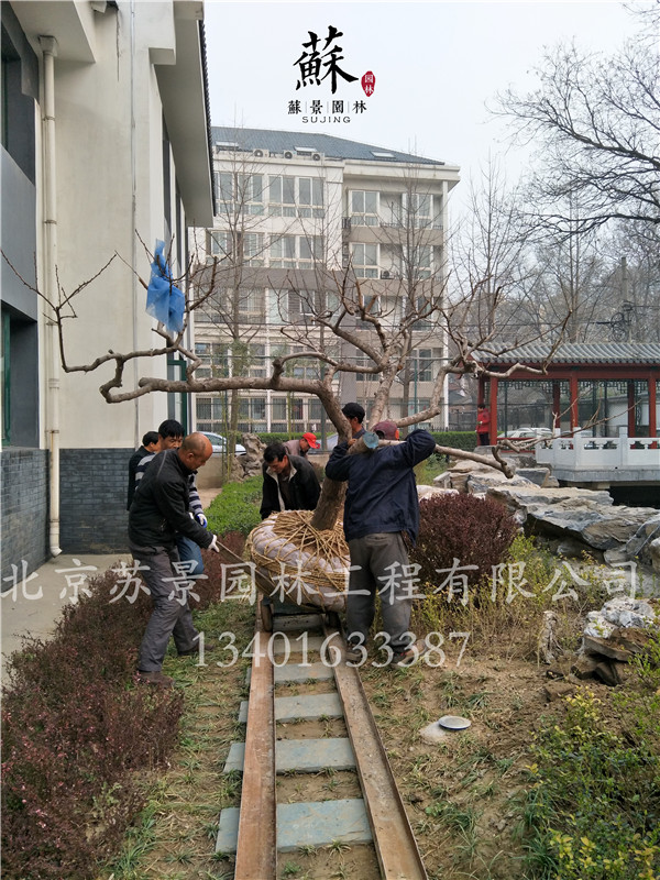 施工现场图08