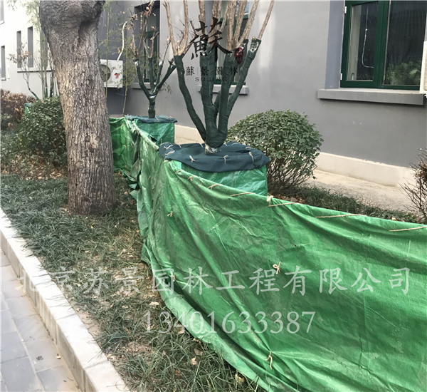 绿化种植及养护03